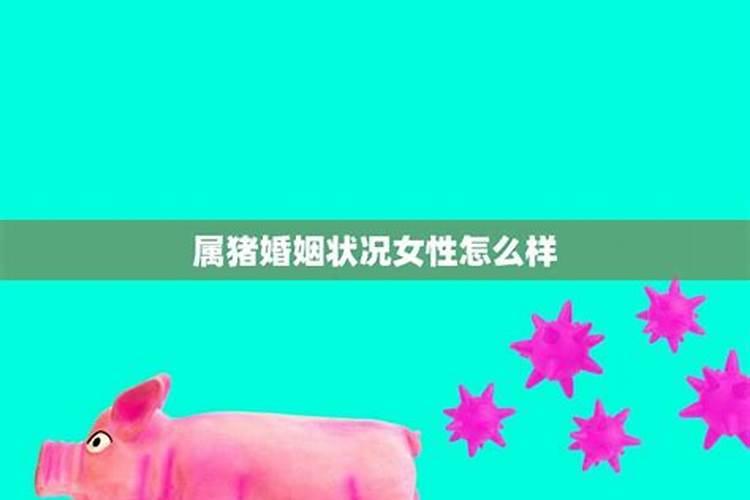 属猪和什么合不来