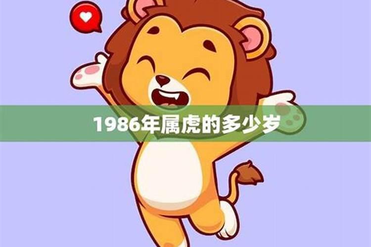 1986属虎多大了