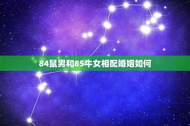 属蛇的今年犯什么太岁