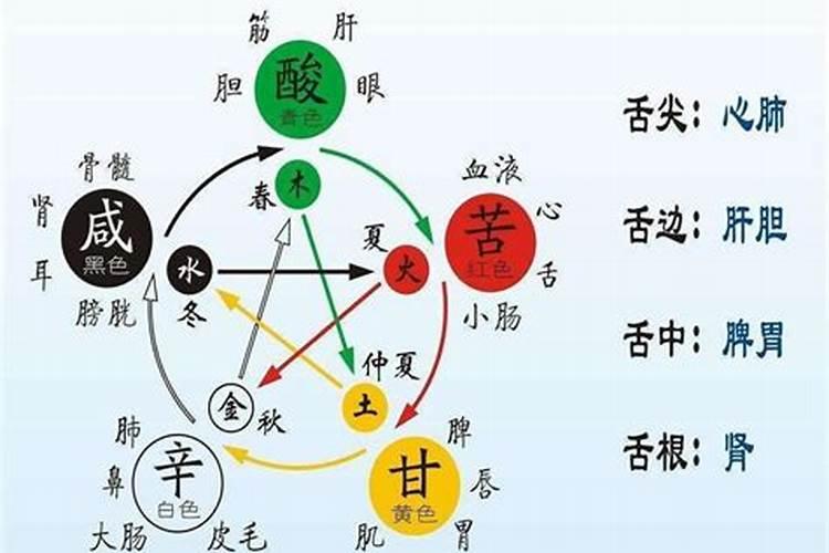 四季与五行与五脏有关吗