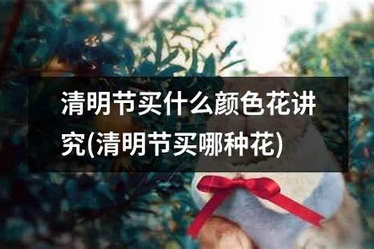 清明祭祖要买什么