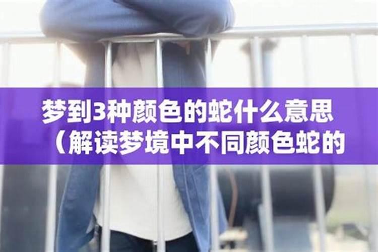 女人梦见三条不同颜色的蛇周公解梦