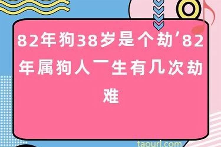 82年属狗人的运势和一生劫难是什么