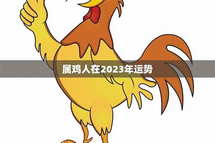 69年属鸡人在2023年运势