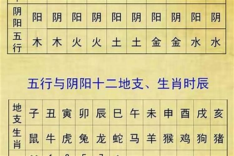 取名字非得看五行吗