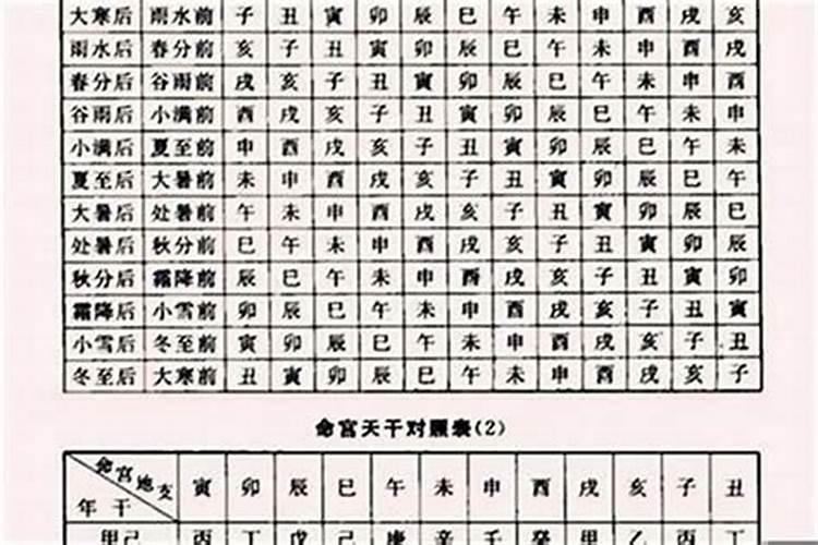 八字中辛金日干人生命运