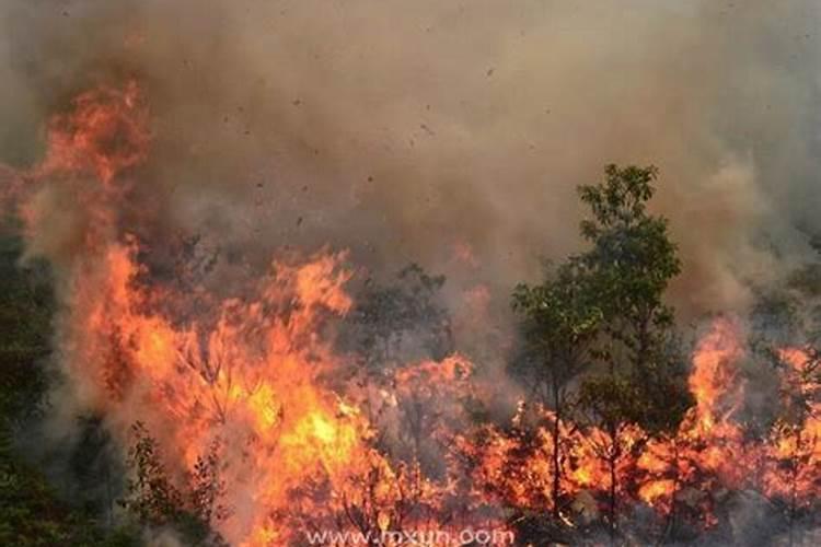 梦见失火了预示什么