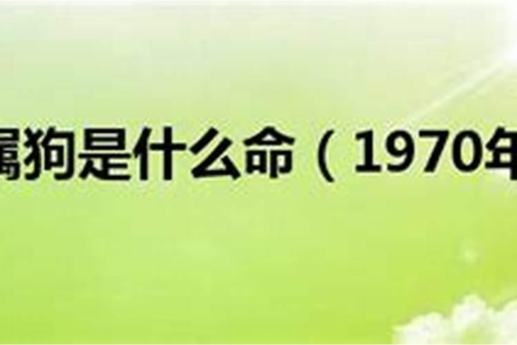 1970年5月初八属狗是什么命