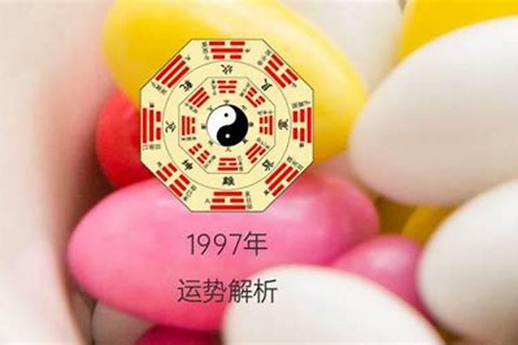 1977年正月初十出生人运程好不