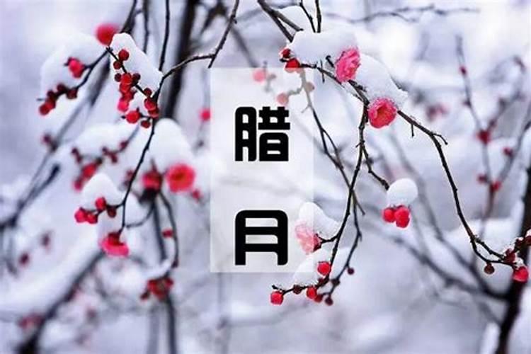 昕字在生辰八字里面属什么