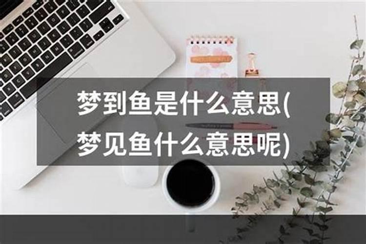 老是梦见鱼是什么意思周公解梦