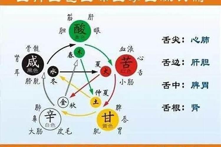 古代五行说认为哪种元素的味道是甜的