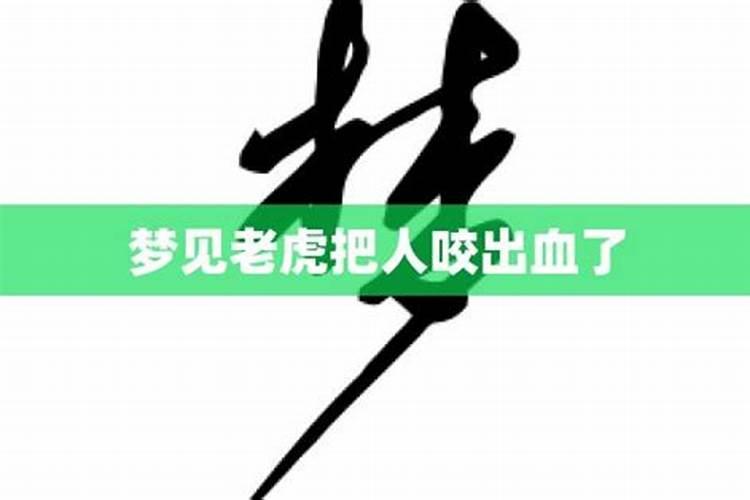 梦到老虎被咬了流血了