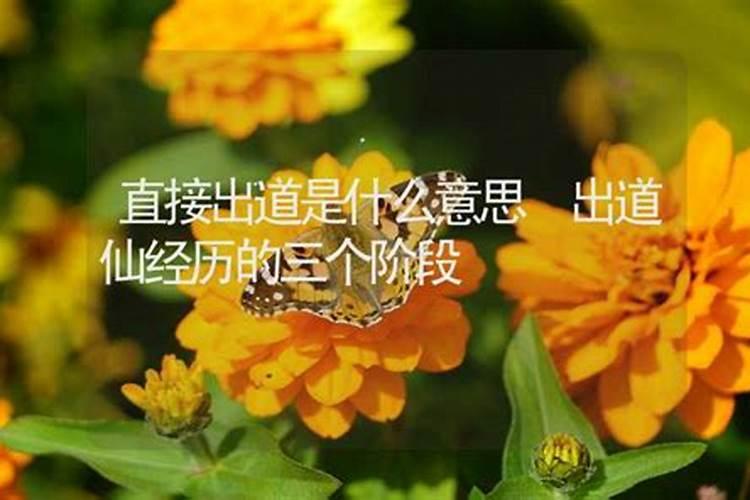 梦见花什么意思