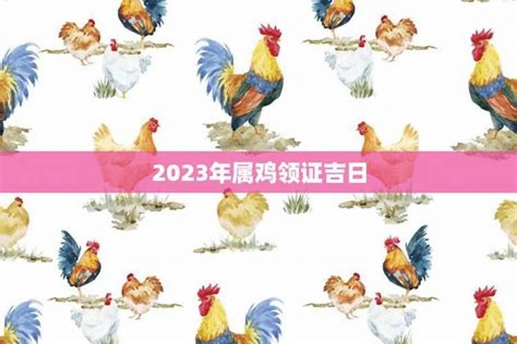 属鸡2023年能结婚吗