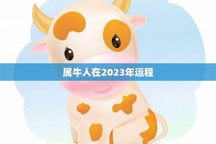 属牛人2023年6月份运程如何