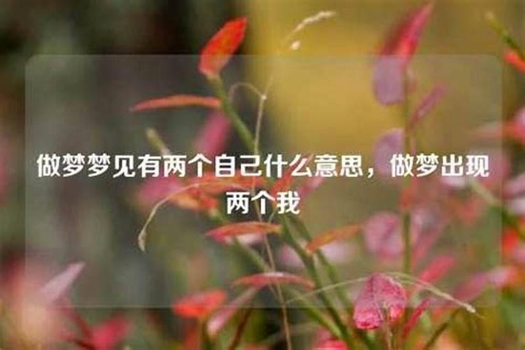 梦见有两个女孩喜欢我是什么意思