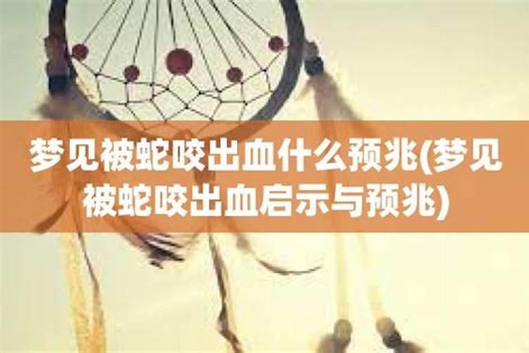 梦见儿子被蛇咬流血什么预兆