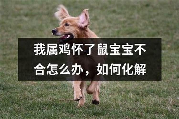 孩子与自己属相不合怎么化解