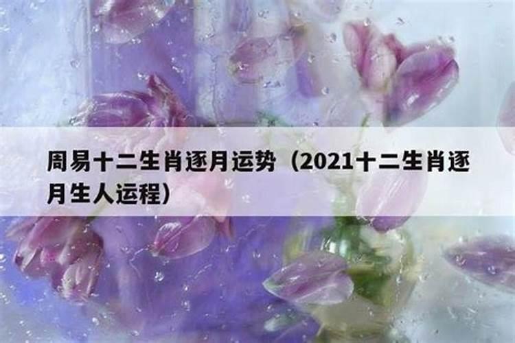 2020年十二生肖逐月运势详解(最新完整版)