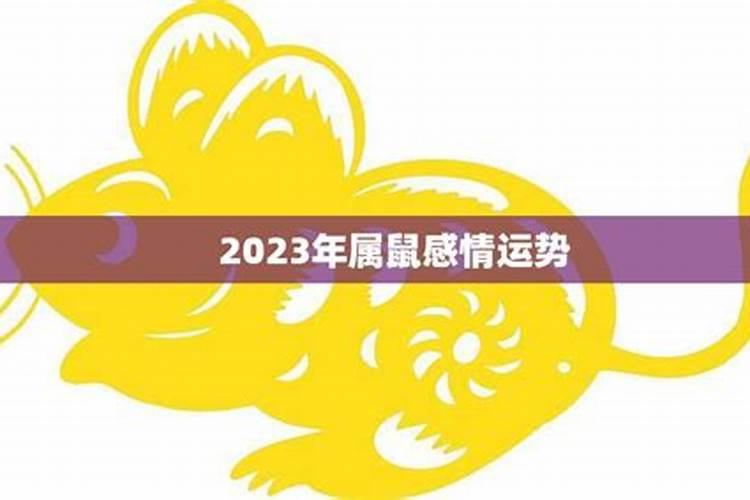 2023属鼠感情运势如何