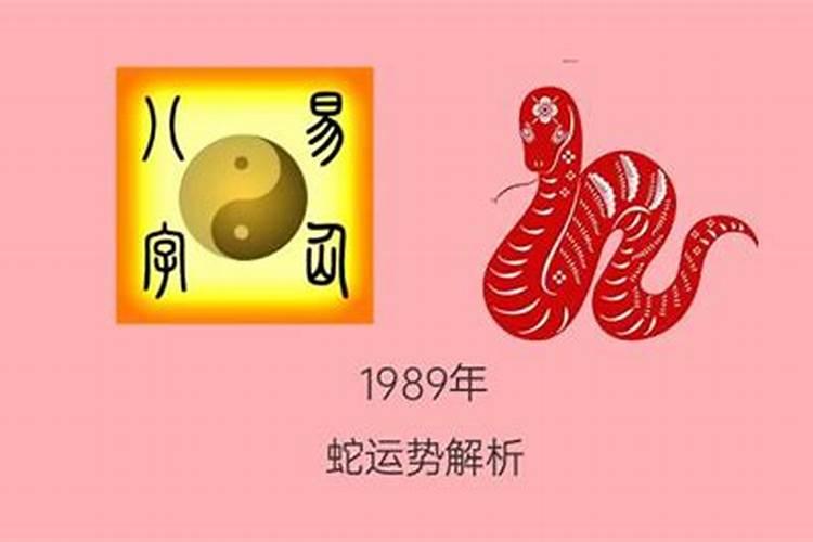 属猪2024年运势农历七月