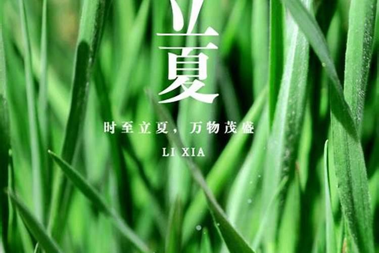 周易怎么批八字