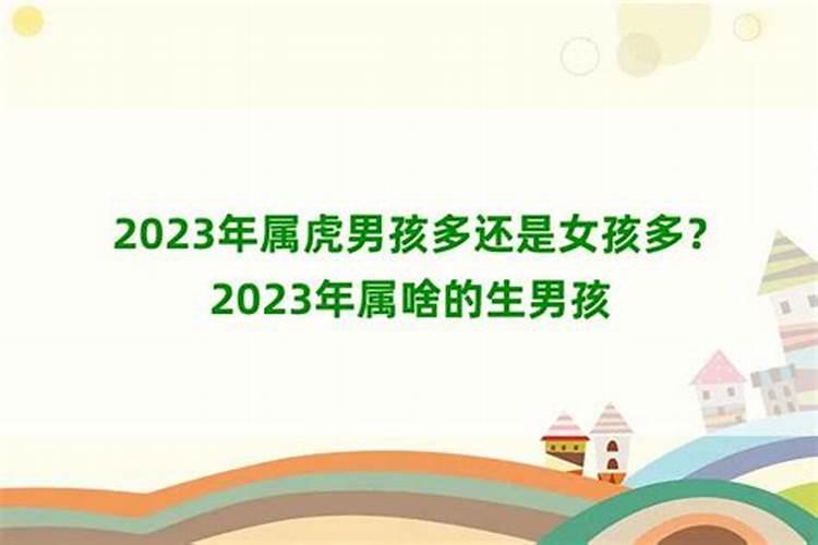 属马的2023年必定生女孩