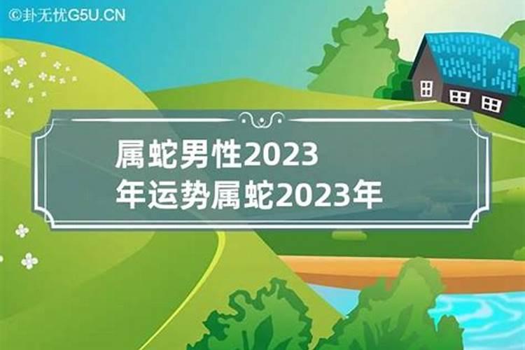 生肖蛇2023运势大全男