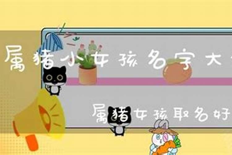 冬天属猪的女孩取名