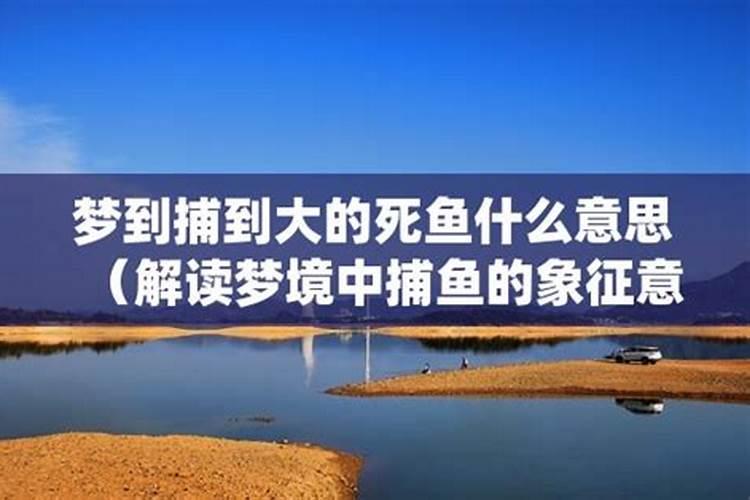 梦到在水里摸到死鱼什么意思啊