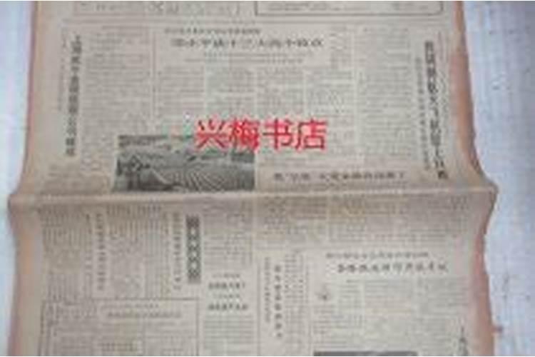 1987年11月3日八字