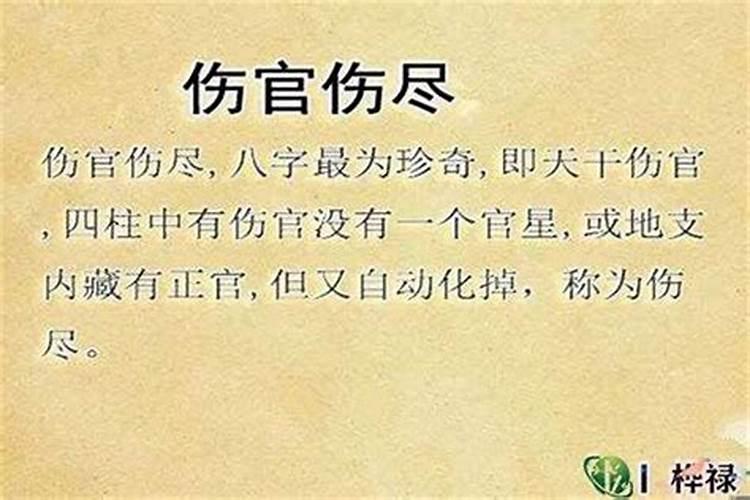 八字算命八字伤官多怎么办