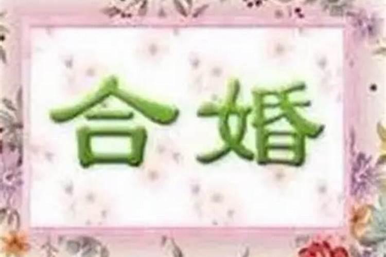 八字合婚些还是属相合婚准