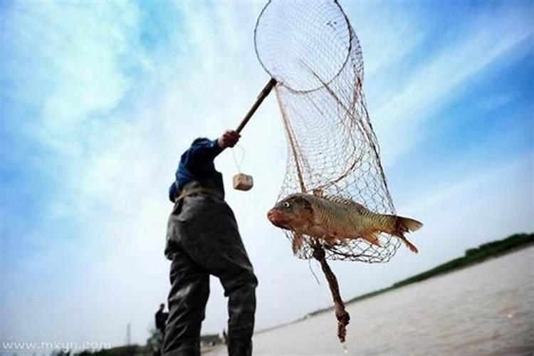 梦到自己家人捞鱼好多浮出水面来了