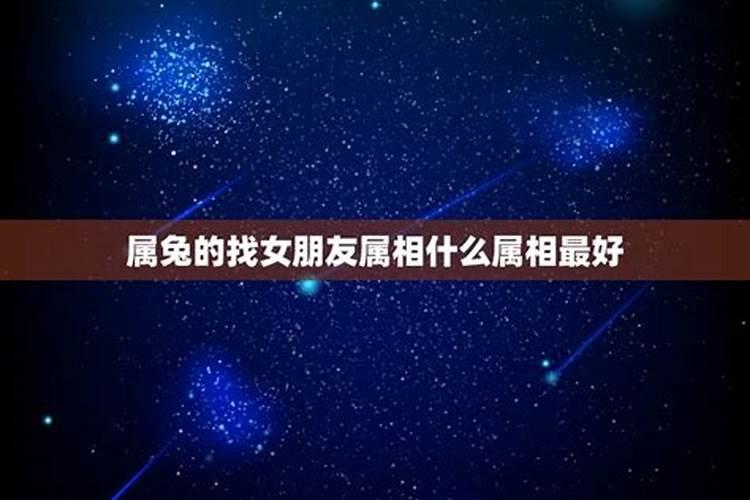 属兔的适合找属什么的