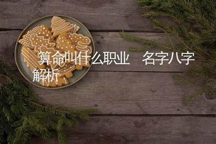 算命的叫什么马