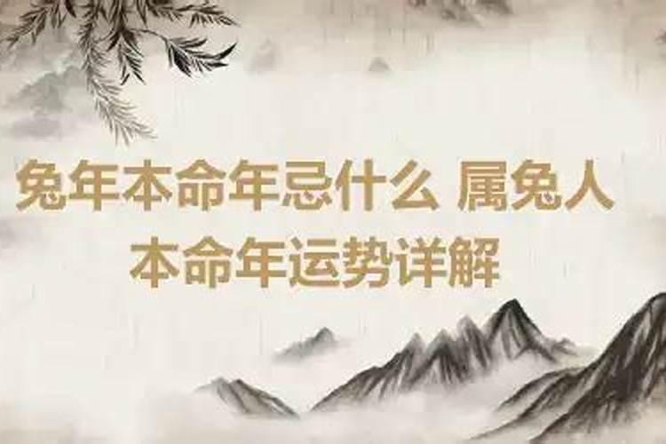 兔的本命年忌什么属相的生肖