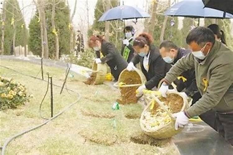 宁夏清明祭祀