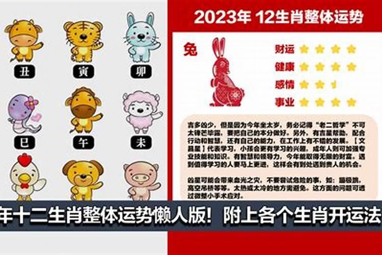 2023年各个属相的运势如何呢