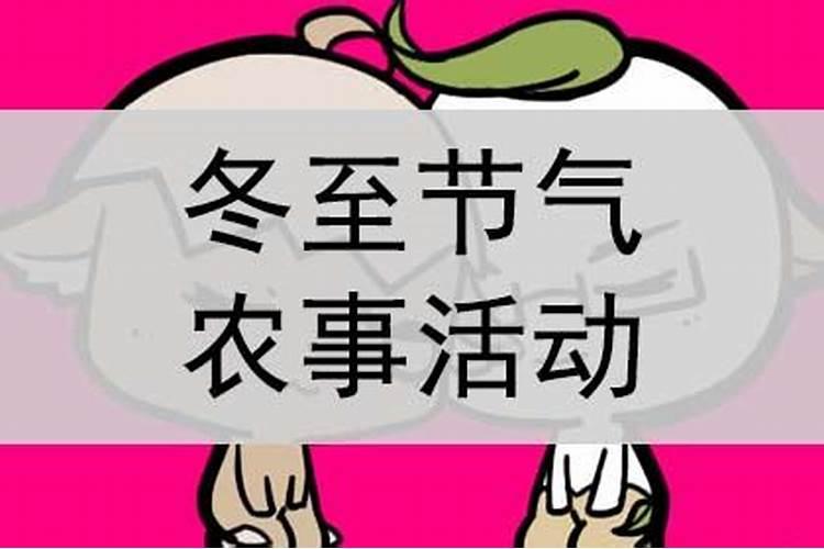 下列哪项是冬至节气的农事活动形式