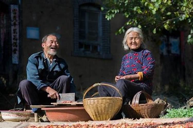 梦见沿着老家的路走回去