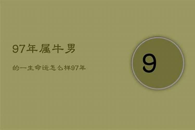 1977年出生的男人2021年的运势如何