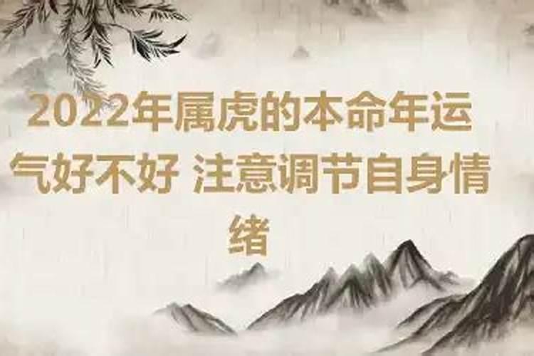 虎的本命年运气好不好呀