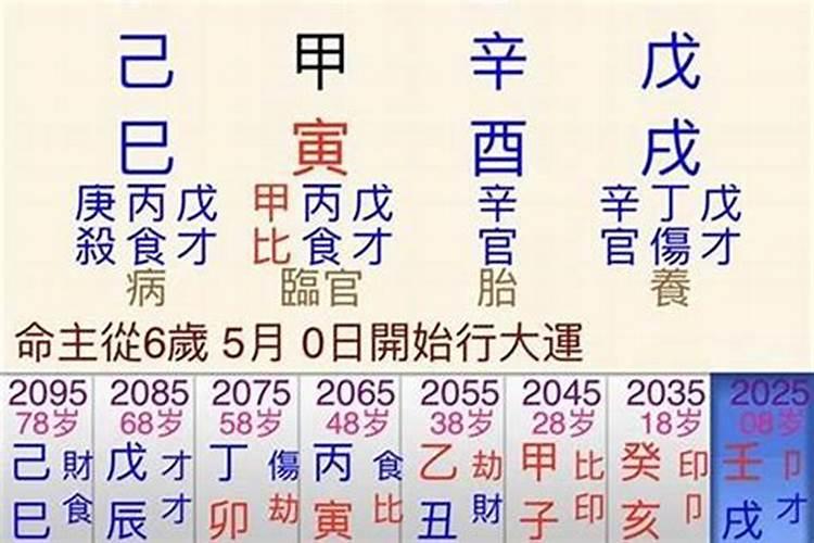 癸巳日柱2021年辛丑年运势