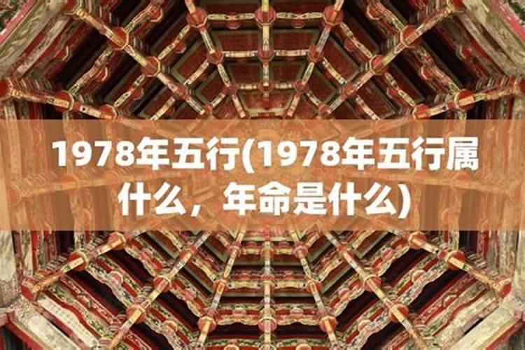 1978年五行属什么