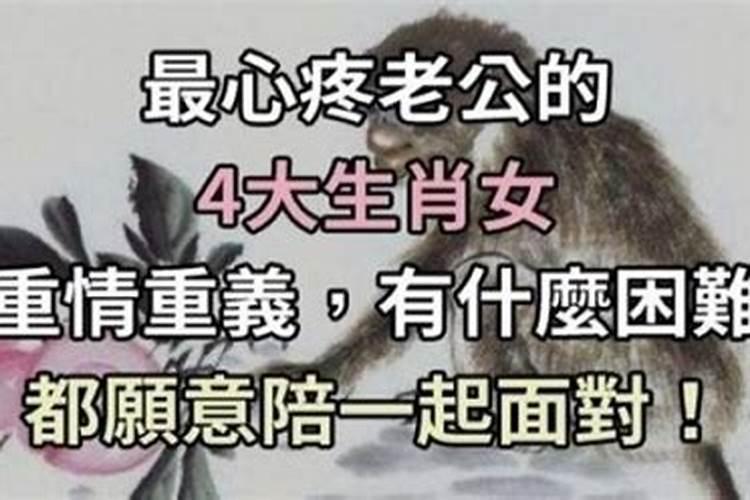 什么生肖最疼老公