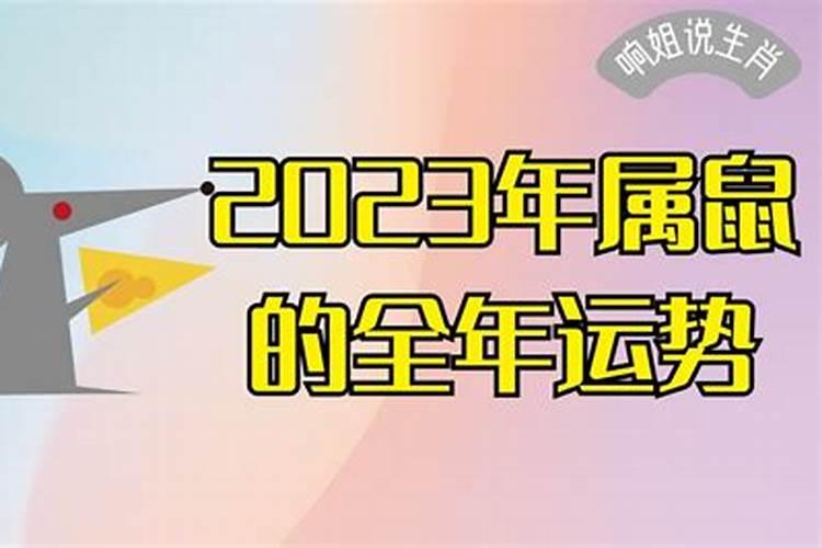 2023属鼠人全年逐月运势如何