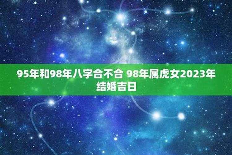 属马和属虎的八字合不合婚姻