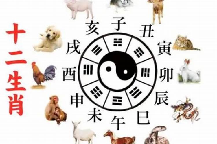 八字2021年每月运势详解